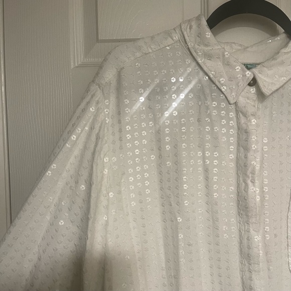 Pilcro James Sequined Tunic (Anthropologie) - Picture 5 of 6